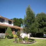 Our Front Yard in Summer - Click image for full size