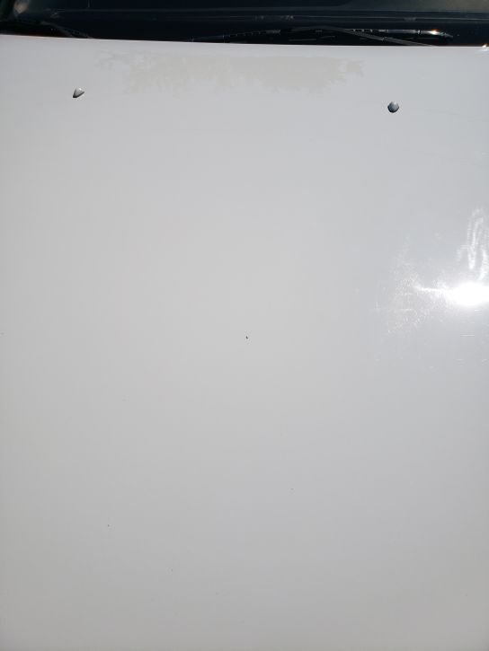 1991 Acura Legend 2 Door Coupe