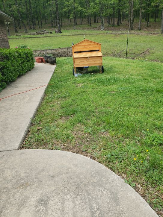 Moving to their first coop