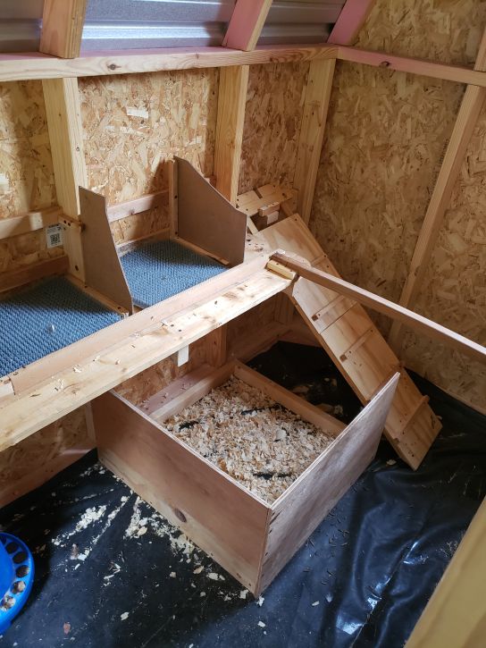 It took several tries to get the coop interior set up right.  First try.