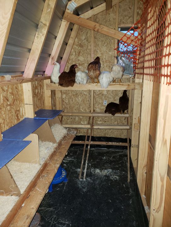 Interior, fifth try.